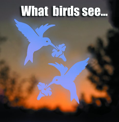 Window Alert Hummingbird Decals