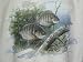 Bass Fish Fishing Graphic T T-shirt Tan M