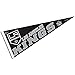 Wincraft NHL Los Angeles Kings WCR13493713 Bulk Classic Pennant, 12