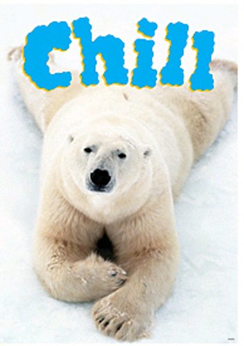 POSTER CHILL ARGUS