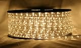 CBconcept 120VLR100FT-WW 120V 2-Wire 1/2-Inch LED Rope Light with 1.0-Inch LED Spacing, 100-Feet, Wa