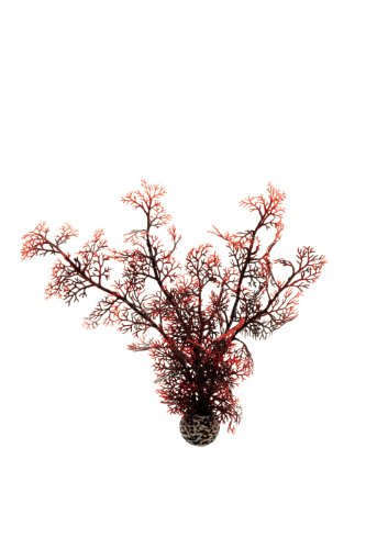 biOrb Medium Sea Fan, Crimson