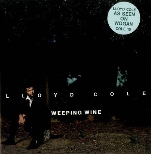 Lloyd Cole Foto 9