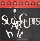 HIT 12" SINGLE (VINYL) FRENCH ONE LITTLE INDIAN 1991 3 TRACK B/W INSTRUMENTAL VERSION AND THEFT (62TP121) PIC SLEEVE