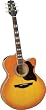 Takamine EG523CDXHB Acoustic-Electric Guitar-Honey Burst