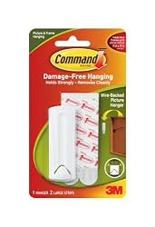 Command 17041 Wire-Backed Picture Hanger with Adhesive Strips, 1 Hanger 2 Strips