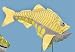 16" Hatchetfish