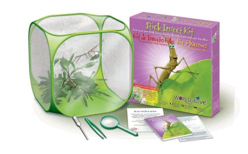Childrens Toyshop  Third Party New : World Alive - Stick Insect Kit
