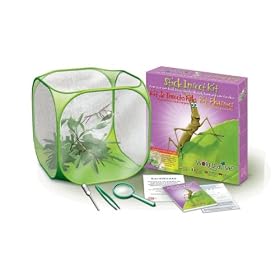 World Alive - Stick Insect Kit