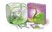 World Alive - Stick Insect Kit