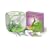 World Alive - Stick Insect Kit