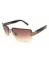 GUCCI 1927 F S Sunglasses 1927FS Dark Havana I3VCC Shades by Gucci