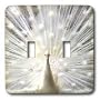 Birds - White Peacock - Light Switch Covers - double toggle switch