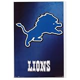 (24x36) Detroit Lions (Logo) Sports Poster Print