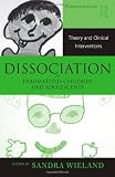 Dissociation in Traumatized Children and Adolescents: Theory and Clinical Interventions (Routledge Psychosocial Stress Series)