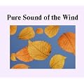 Pure Sound of the Wind - Nature Sounds CD