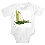 Onesie with female, insect, song, swordbearer, chirp, invertebrate, wings, grasshopper, katydid, flying, vartbitare, animal, jumping, arthropod