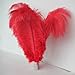 20pcs Real Natural 12-14 Inch(30~35cm) Ostrich Feathers Great Decorations (Red)