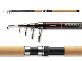 Cormoran Profiline Tele 80 3,00m