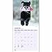 Magnet & Steel 2017 Black Labrador Calendar, Traditional Wall Calendar