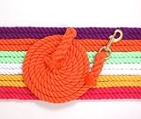 12 Pack 3/4 X 8 1/2 Cotton Lead W/Bolt Snap Bright Colors
