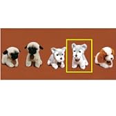 シュナウザー 座り ぬいぐるみ （犬 いぬ イヌ） [おもちゃ＆ホビー]