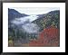 Foggy Valley from Morton Overlook, Great Smoky Mountains National Park, Tennessee, USA Collections Framed Art Poster Print by Adam Jones, 31x25