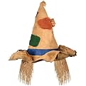 Scarecrow Hat