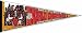Chicago Bulls 1991 - 1992 Back to Back NBA Champions Pennant
