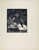BIRDS LIMITED EDITION PRINT RING OUZEL ARTIST DESCRIBED