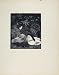 Birds Limited Edition Print Ring Ouzel Artist Described