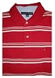Men's Tommy Hilfiger Polo Shirt Cranberry & White Striped XL