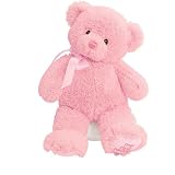 from Gund Gund 25.5cm My First Teddy for Newborn and Above (Pink) (Model 021028)