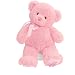 Gund 25.5cm My First Teddy for Newborn and Above (Pink)