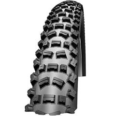 Schwalbe FAT ALBERT REAR 62-559 Snakeskin + Evolution Line + TL-Ready TLR + Faltreifen Modell 2011
