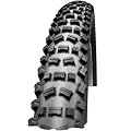 Schwalbe FAT ALBERT REAR 62-559 Snakeskin + Evolution Line + TL-Ready TLR + Faltreifen Modell 2011