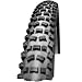 Schwalbe FAT ALBERT REAR 62-559 Snakeskin + Evolution Line + TL-Ready TLR + Faltreifen Modell 2011