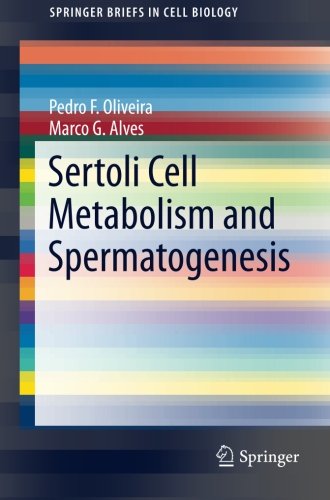 Sertoli Cell Metabolism and Spermatogenesis (SpringerBriefs in Cell Biology), by Pedro F. Oliveira, Marco G. Alves Sertoli Cell Metabolism and Spermatogenesis (SpringerBriefs in Cell Biology), by Pedro F. Oliveira, Marco G. Alves