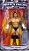 WWE Summer Slam Road to Wrestlemania 23 Exclusive Series 3 Action Figure CM Punk