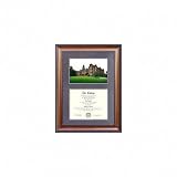 Towson Tigers Suede Mat Diploma Frame with Lithograph