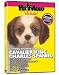 Cavalier King Charles Spaniel DVD - Everything You Should Know About Your Dog
