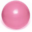 Bally Stability Ball Pro with Weight Resistance Bally Stability Ball Pro with Weight Resistance