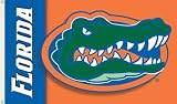 NCAA Florida Gators 3' x 5' Two-Sided Flag with Grommets