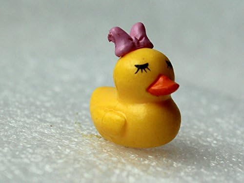 10 Pcs Miniature Garden Fairy Ornament Duck