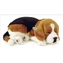 Perfect Petzzz Beagle Bundle