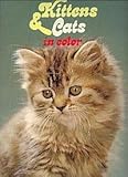 Kittens & cats in color