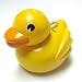Toys : Remote control duck