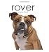 Rover
