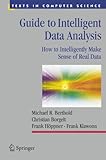 Guide to intelligent data analysis : how to intelligently make sense of real data