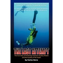 The Last Attempt